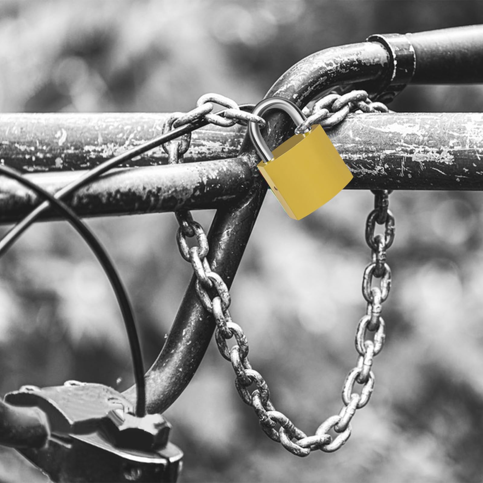 2 Lucchetti Lunghi 32mm Con 6 Chiavi - Per Armadietti, Bagagli, Biciclette E Porte - Foto 6