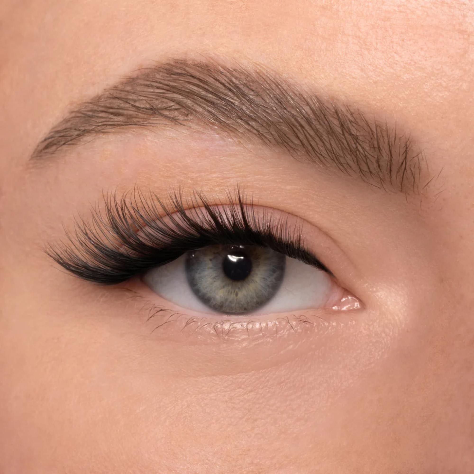 AYLASHES Starter Kit Foxy Eyes mit Wimpernkleber, Remover, Top Coat und Applicator, 6 Paar Wimpernextensions mit bis zu 7 Tage Halt