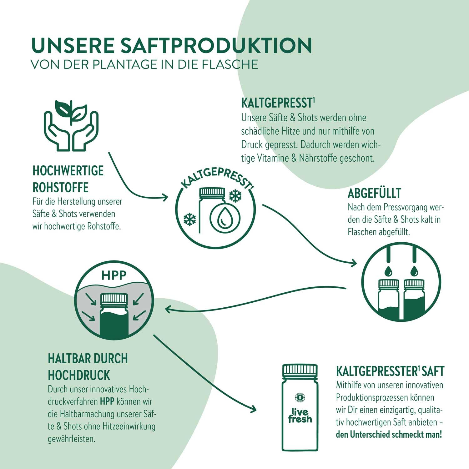 LiveFresh Vitamin C Saft 6x250ml mit Spirulinapulver Vegane Fruchtsäfte ohne Zuckerzusatz