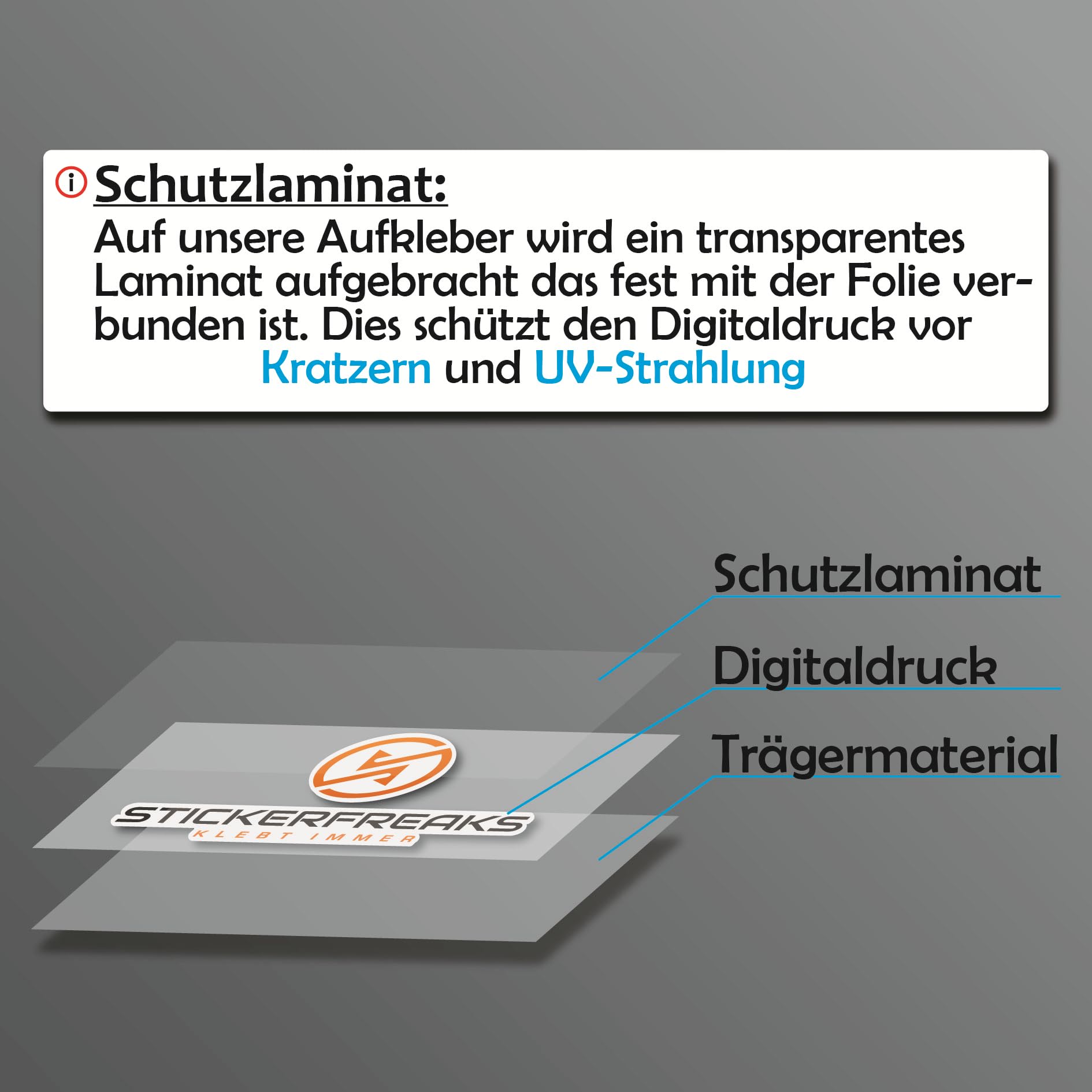 Blaue E-Plakette Für Elektrofahrzeuge, Zugelassen Ausserhalb Deutschla