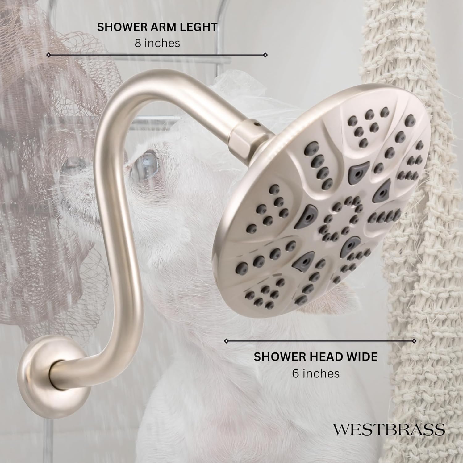 Westbrass CO573-07 6" Round Thin 5-Function Adjustable Spray Shower Head with 8" S-Shaped Wall Mount Shower Arm, Satin Nickel