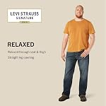 Levi Strauss Signature Gold Hommes Relaxed Fit Jeans
