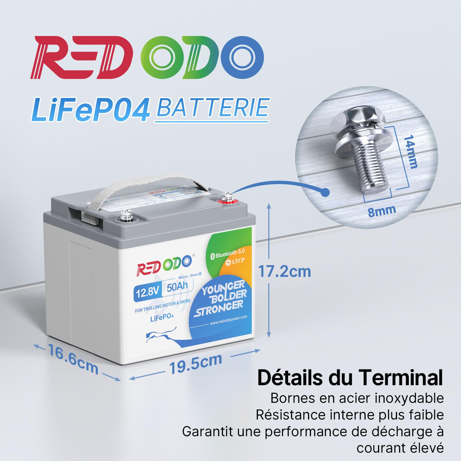 Redodo 12V 50Ah(2 Pack) Batterie Lithium avec Bluetooth 640Wh Batterie LiFePO4 avec Anti-Brouillard Salin pour Trolling Motor/Détecteur de Poissons/Feux de Navigation/Camping-Car
