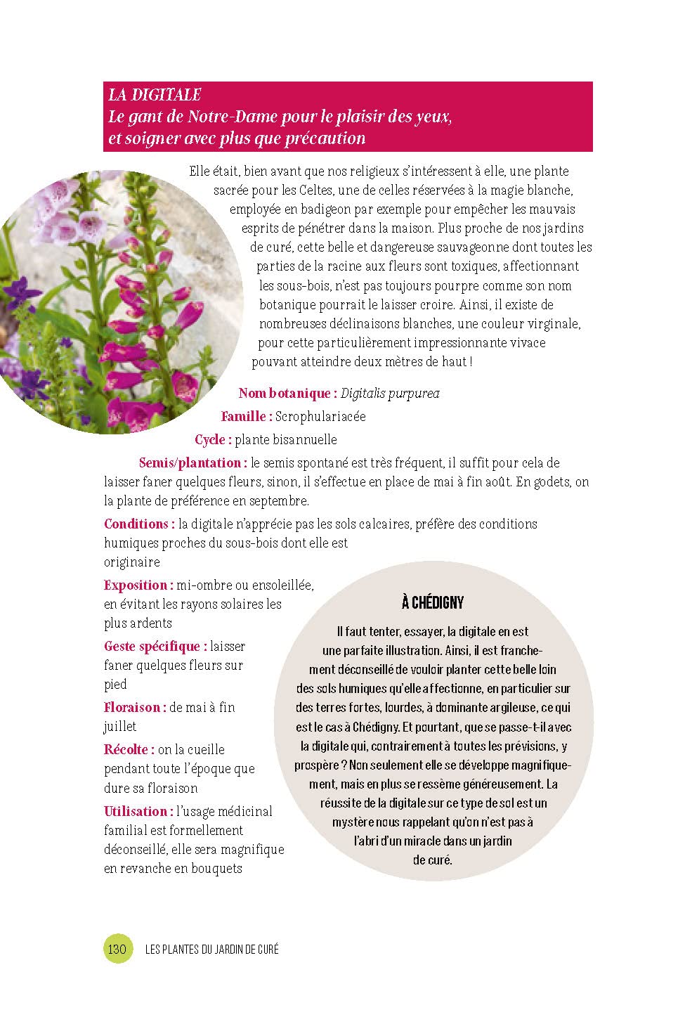 Le jardin de curé: Réjouir le corps et l'esprit