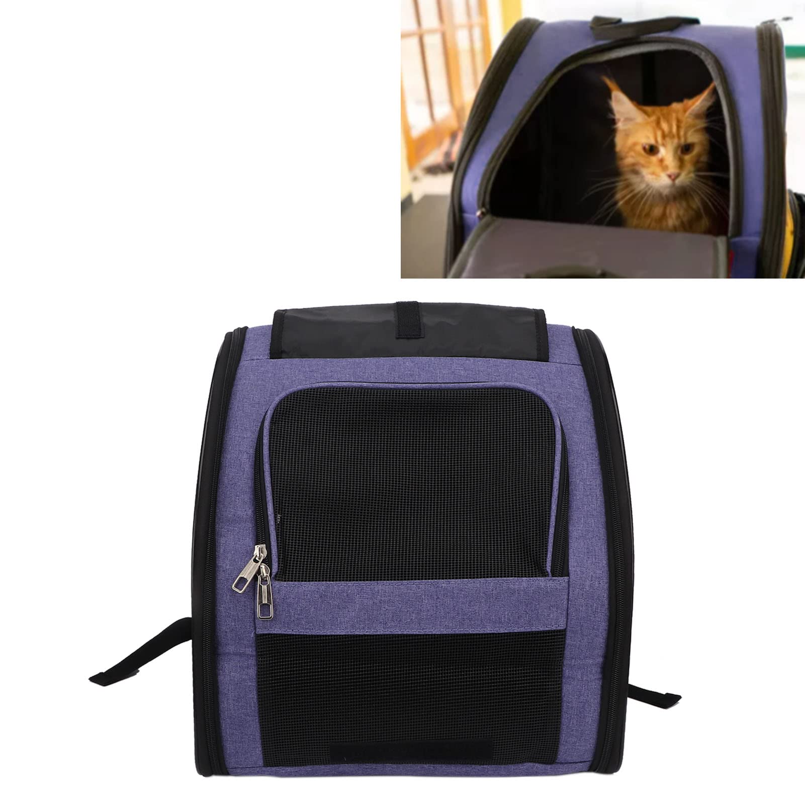 Tragbarer Rucksack für Katzen, große Kapazität, atmungsaktiv, für Reisen, Wandern, Outdoor, für Welpen, Hunde, Katzen (bis 10 kg, Violett)