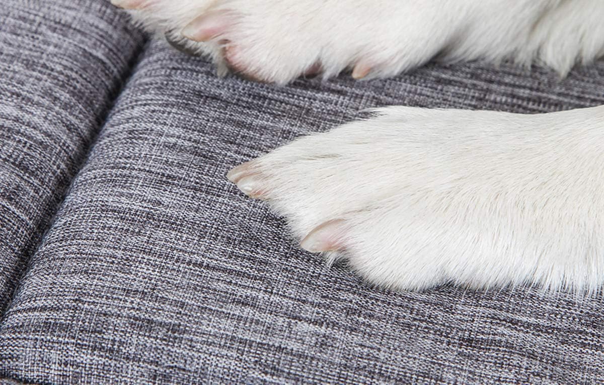 QIAOQI Dog Bed Kennel Pad Crate Mat Washable Orthopedic Antislip Beds Dense Memory Foam Cushion Padding Bolster | Perfect Sleep Bedding Pads for Carrier Cage : Pet Supplies