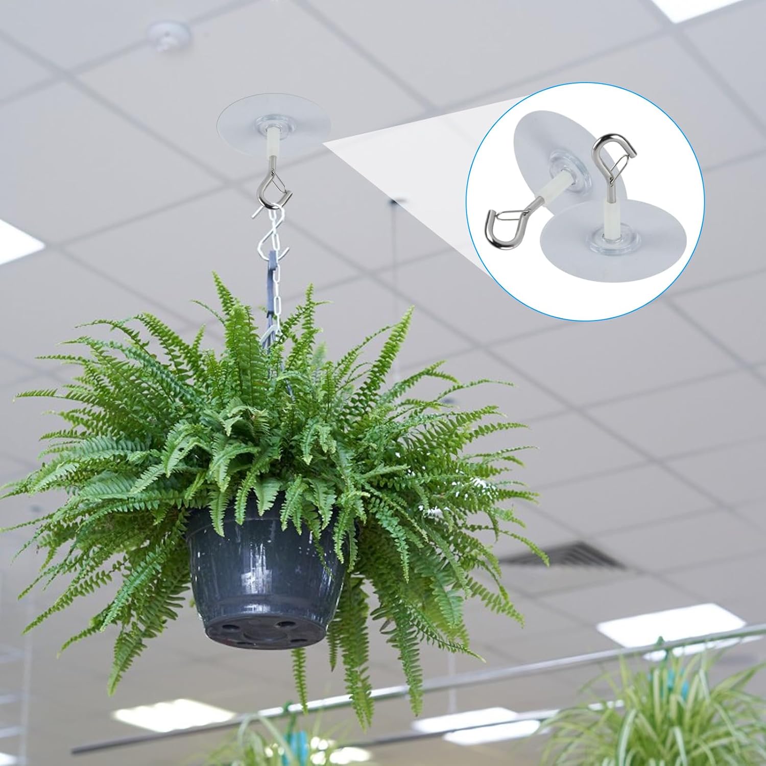 6 Pcs Self Adhesive Ceiling Hooks Heavy Duty No Drill Plant Hangers