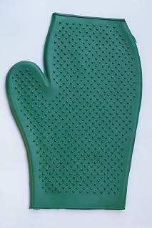 Horse Grooming Mitt