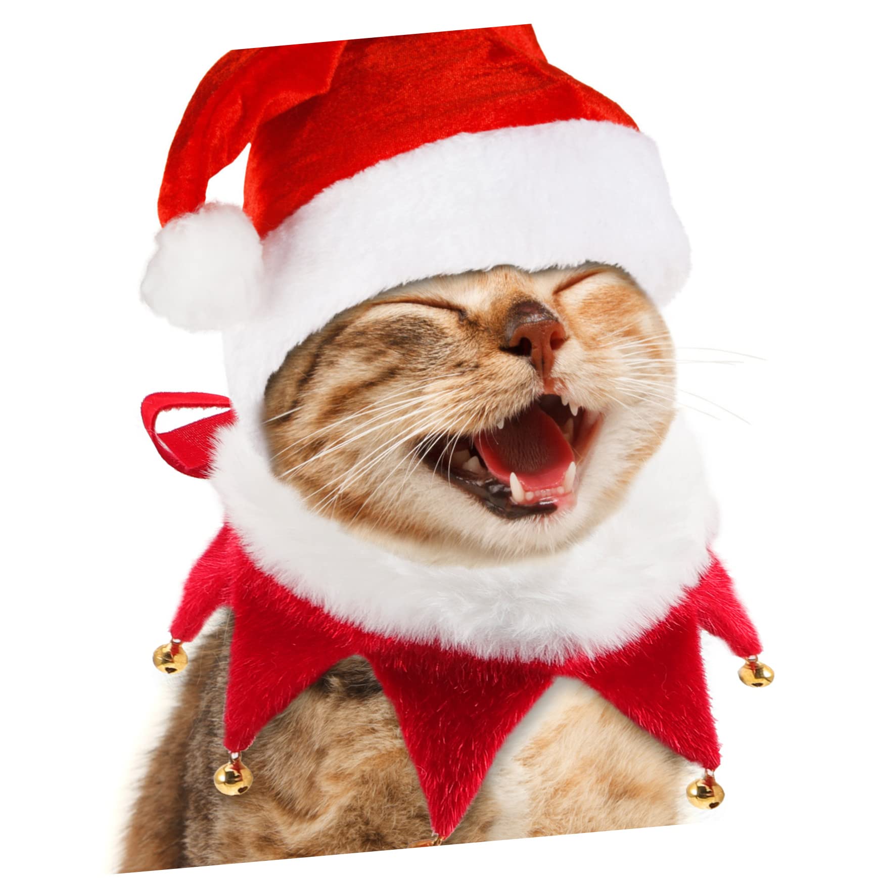 Collare Natalizio per Animali Domestici Con Decorazioni a Collare Natalizio per Animali Domestici Con Decorazioni a