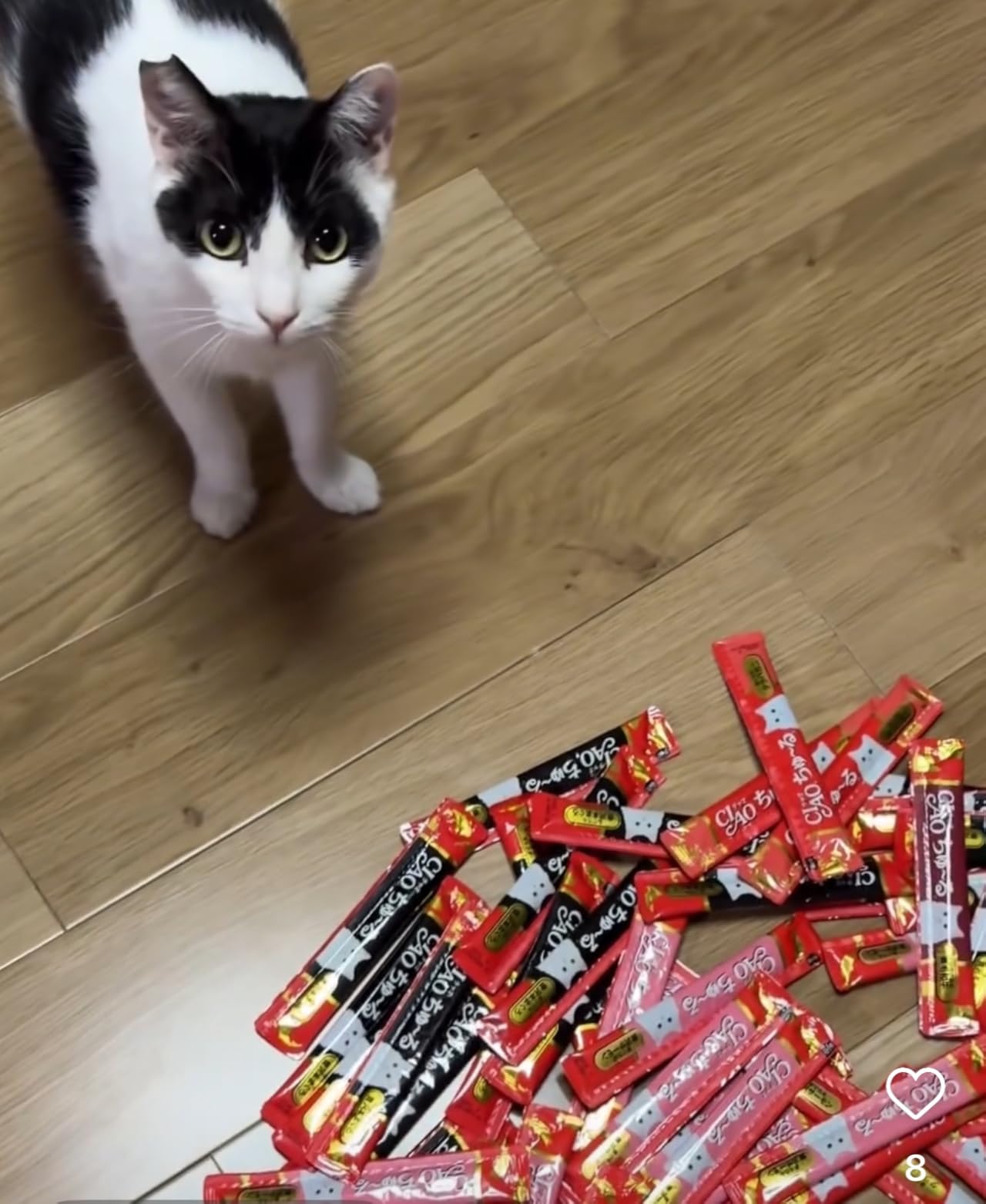 お客様イメージ