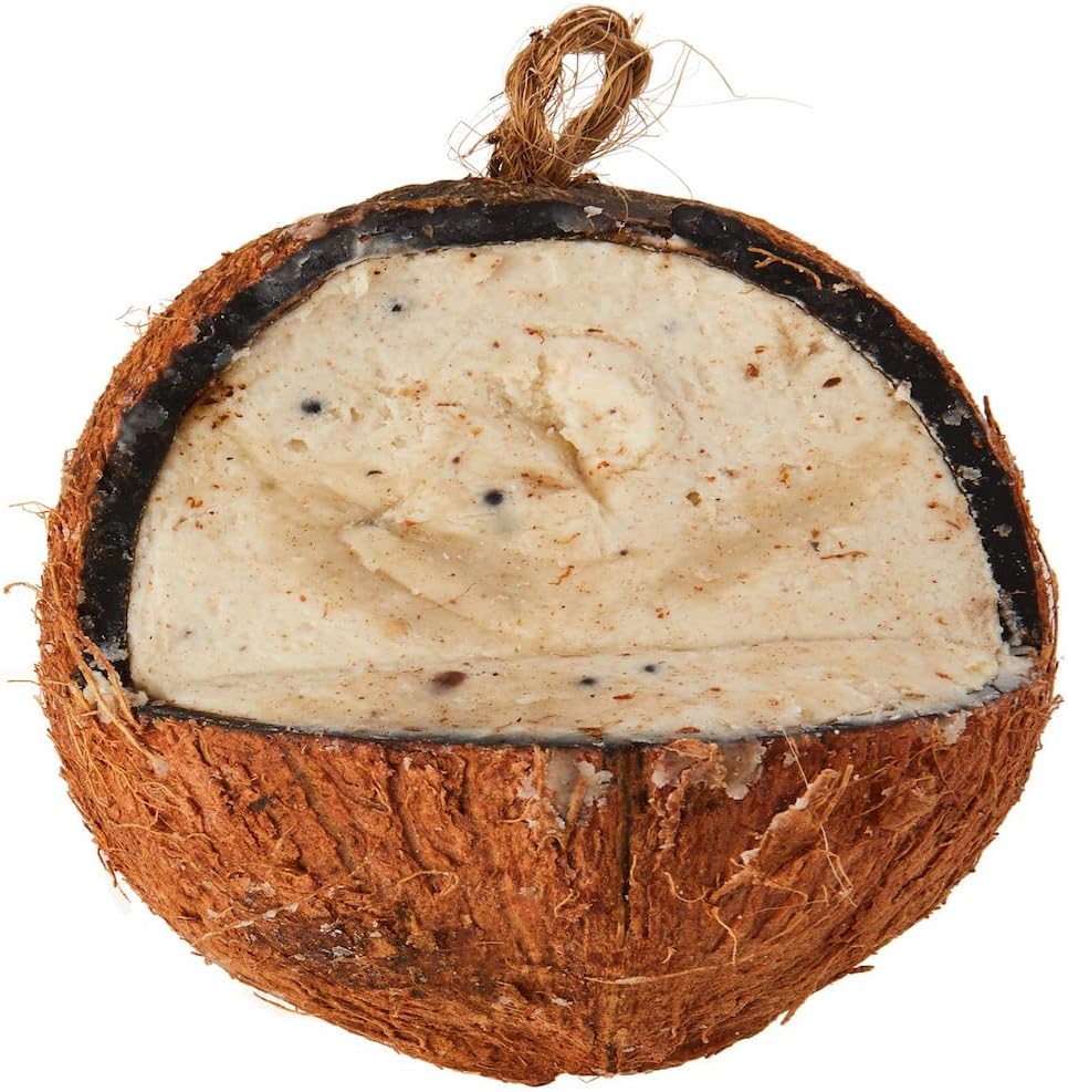 High Energy Whole Coconut Suet Wild Bird Nutritious Hanging Garden Feeder Mealworm Flavour