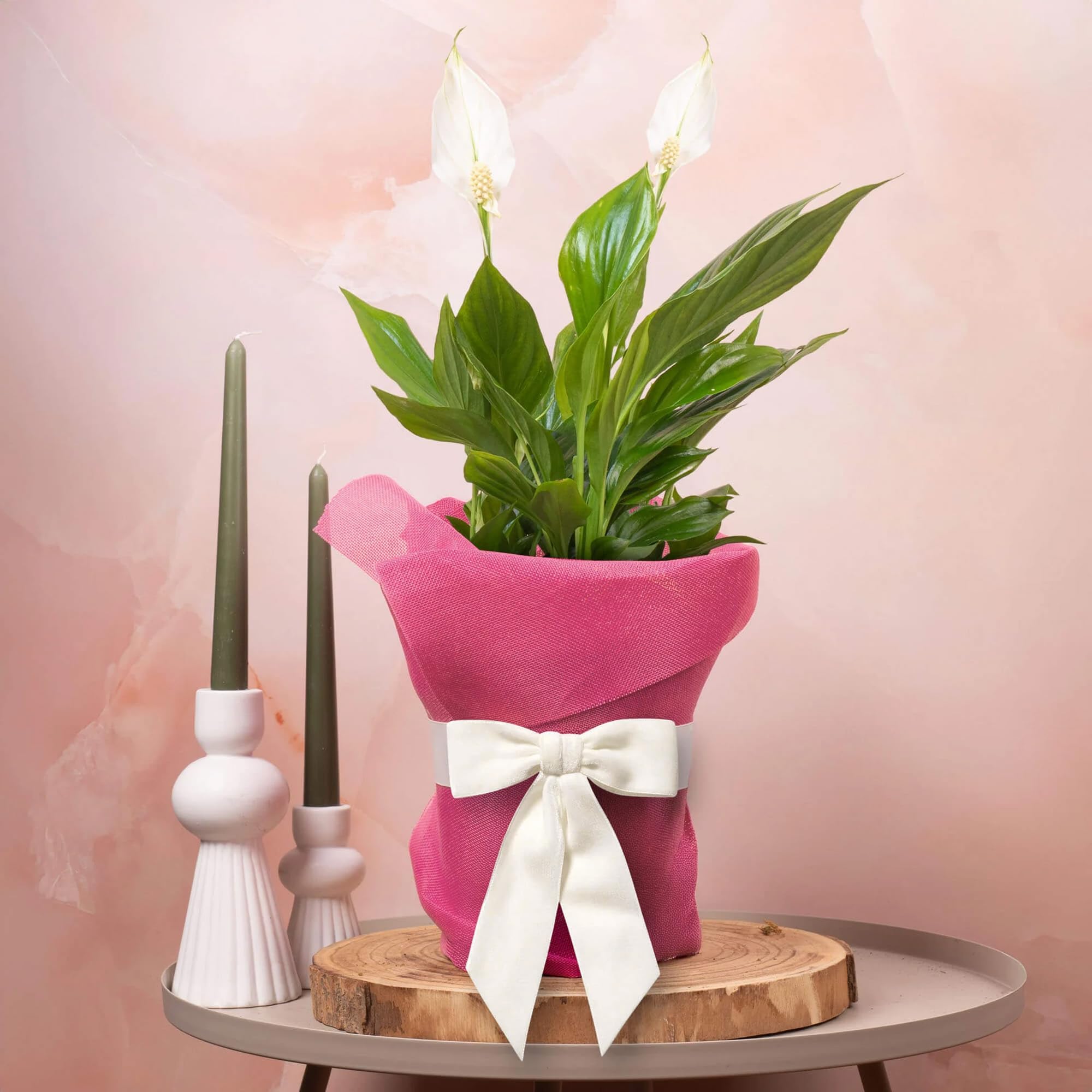 GardenersDream Spathiphyllum Peace Lily Plant Gift - Indoor Real Houseplant for Birthday, Anniversary & Mother's Day Gifting - Pink Hessian Wrapping, White Bow & Custom Message Card (9cm Pot, 20-30cm)