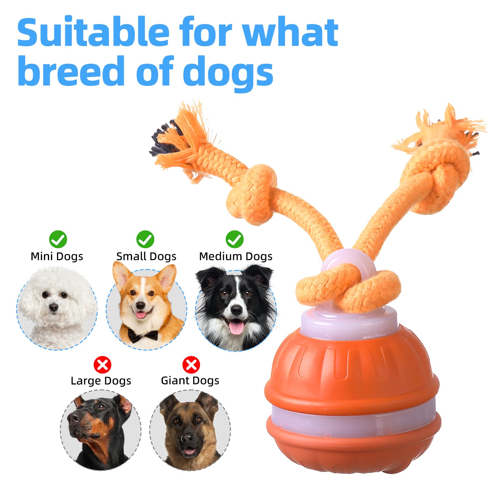 Interaktives Hundespielzeug