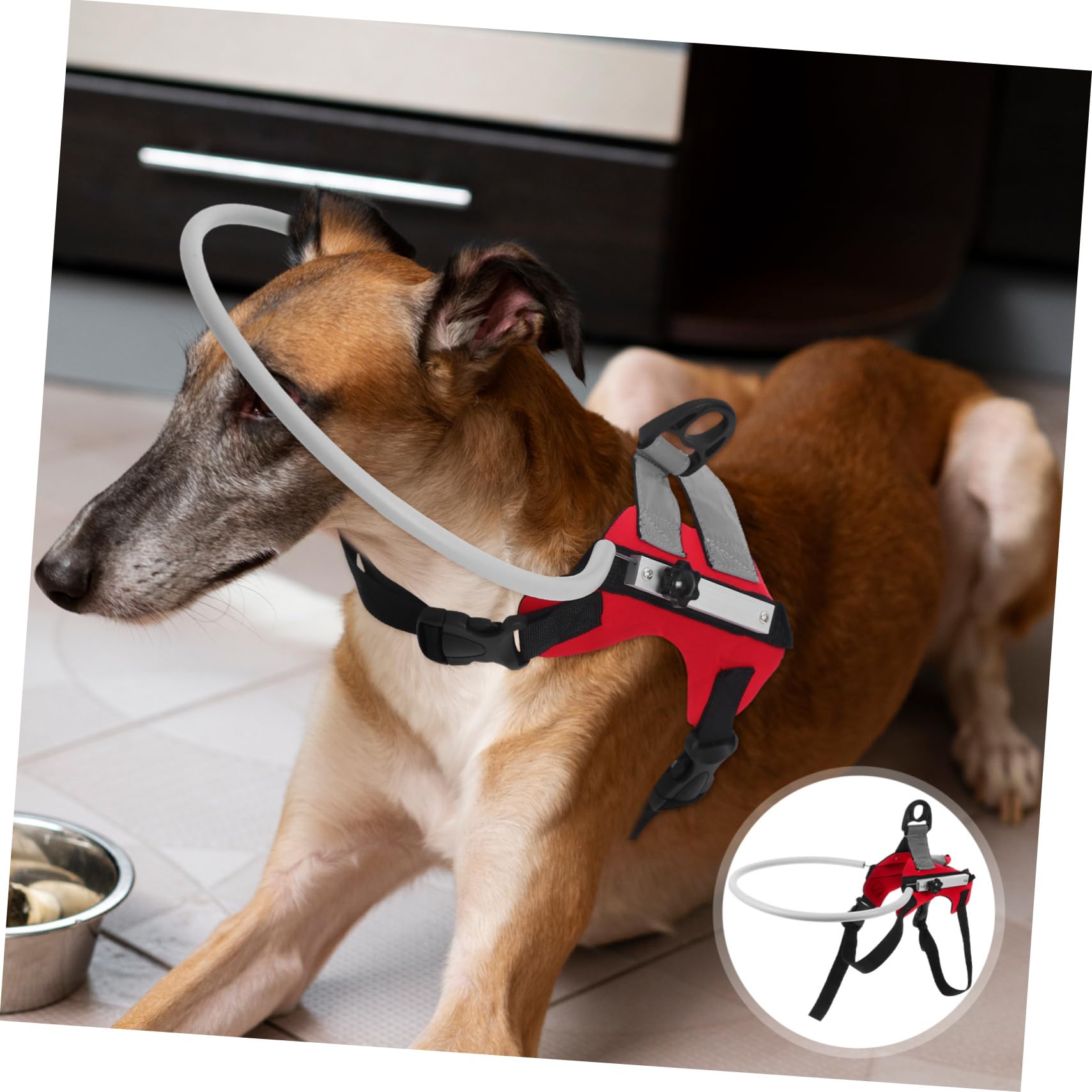 Abaodam Collier de Navigation pour Chien Aveugle Rouge Réglable | Protection les Obstacles, Design Confortable et Facile à Utiliser, pour Chien Malvoyant