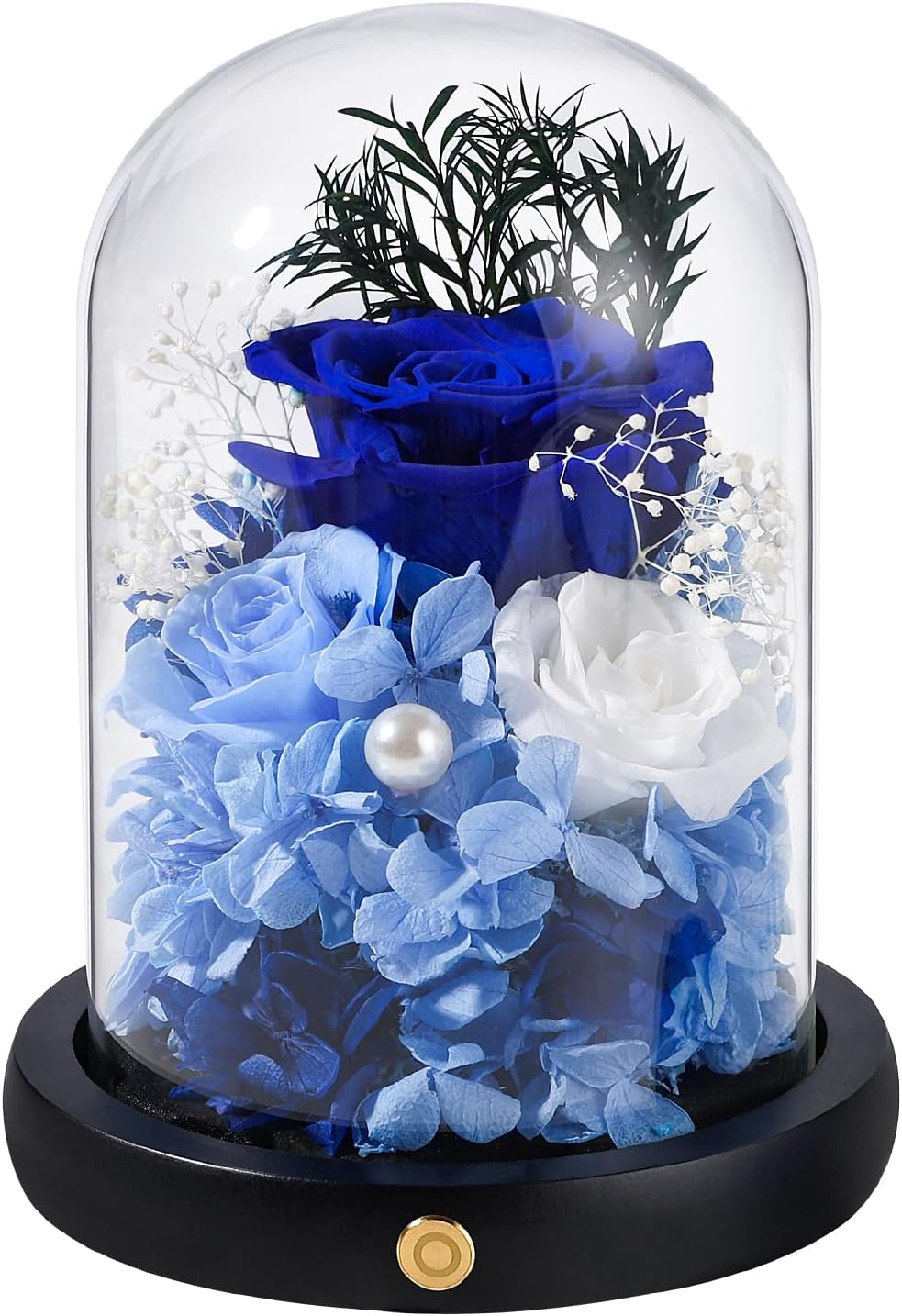 FIACO Valentines Day Preserved Flowers Rose Gifts for Women, Birthday Gifts Eternal Rose in Glass Dome Long-Lasting Real Forever Flowers Gifts for Mom Grandma Wife Her Girlfriend