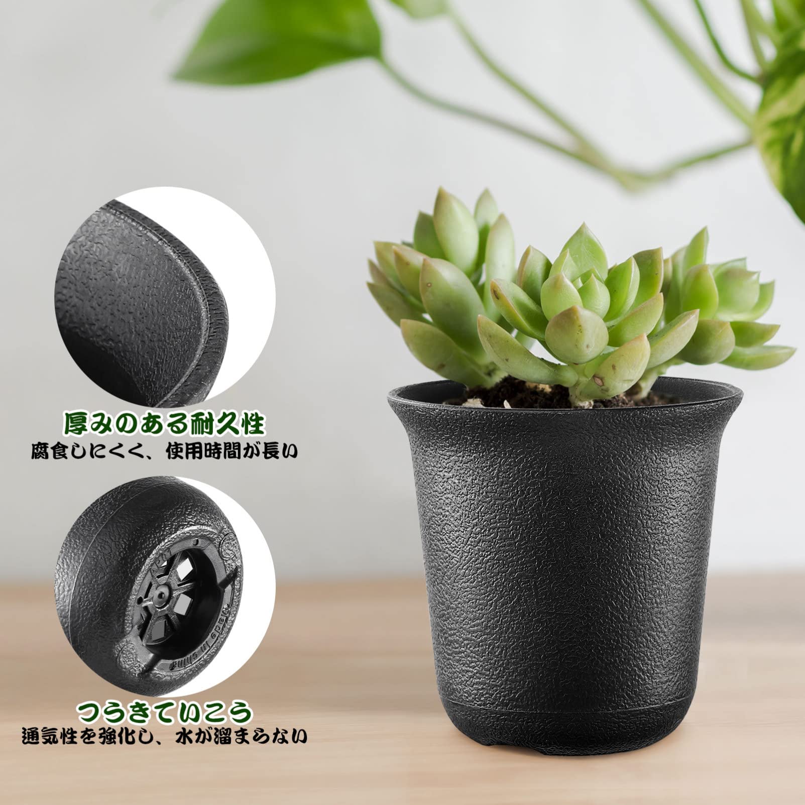 Amazon.co.jp: VANZACK プラ鉢 小 ミ二植木鉢 多肉植物 鉢 