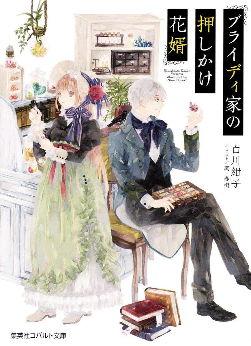 ☆お値下げ☆アンティーク挿絵本「ＴＨＥ ＬＩＬＹ ＯＦ ＬＩＦＥ」※説明欄必読 ☆お値下げ☆アンティーク挿絵本「THE LILY OF
