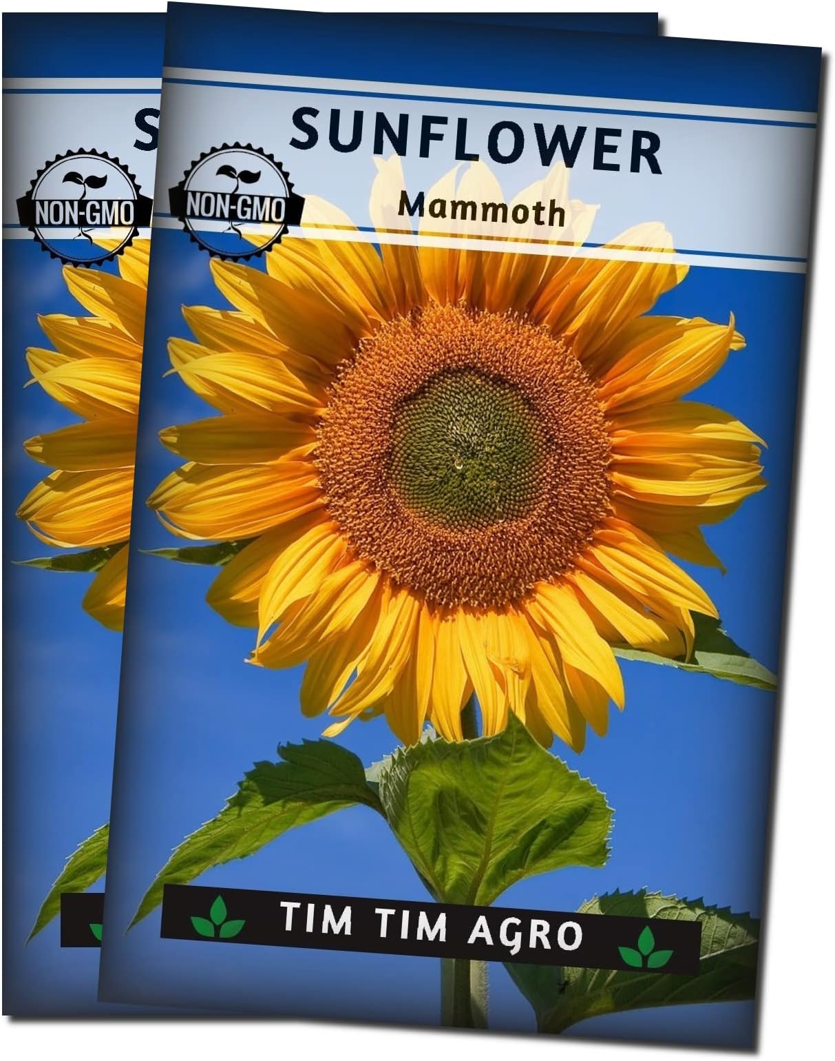 3g Mammoth Russian Sunflower Seeds to Plant and Grow Giant Sun Flowers in Your Garden.; Non-GMO Heirloom Seeds; Wonderful Gardening Gifts by Tim Tim Agro (2)