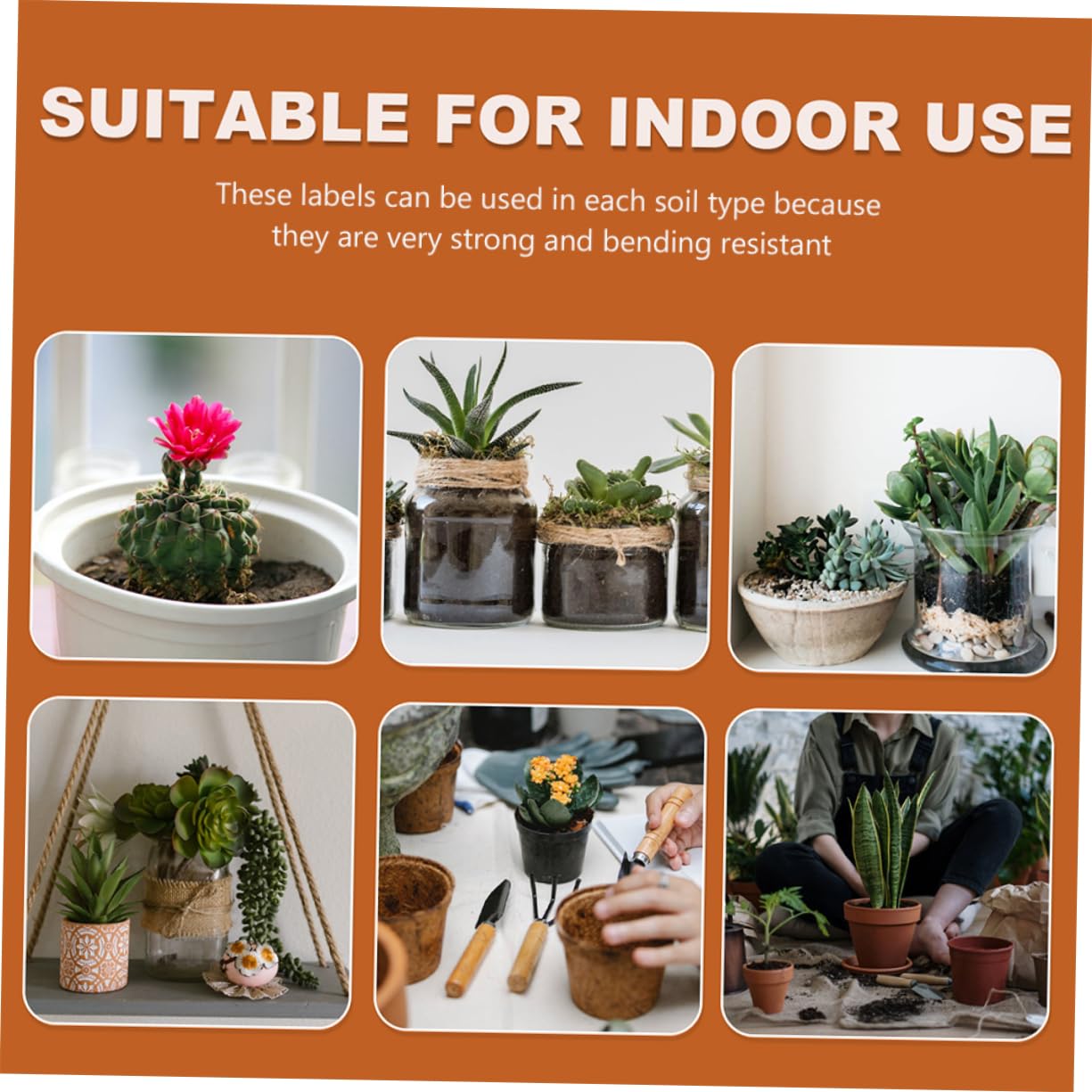 Kisangel Étiquettes pour Plantes de Jardin 600 Pièces Étiquettes pour Plantes en Plastique Bords Lisses Et pour Fleurs Légumes