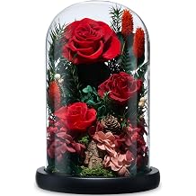 Preserved Roses,Forever Fresh Flowers 7.48in,Gift for Women,Mom,Grandma,Wife,Girlfriend,Sister,and Daughter Perfect for Birthday,Mother&rsquo;s Day,Valentine&rsquo;s Day (True Romance1)