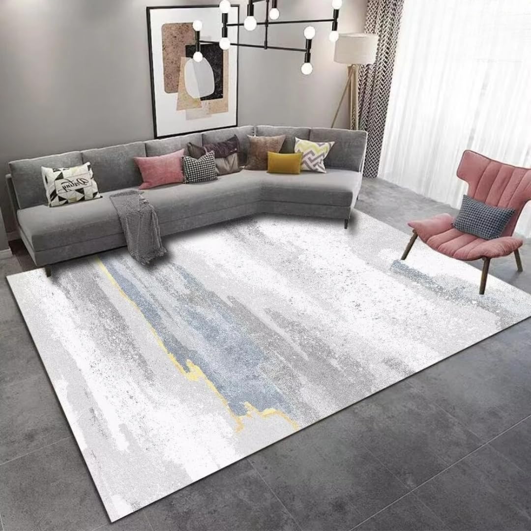 Tapis lavé à l'encre résistant pour salon fini non pelucheux facile à laver