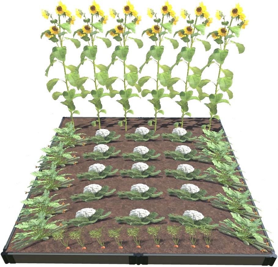 Frame It All Tool-Free Weathered Wood Raised Garden 8' x 8' x 5.5 - 1 Profile