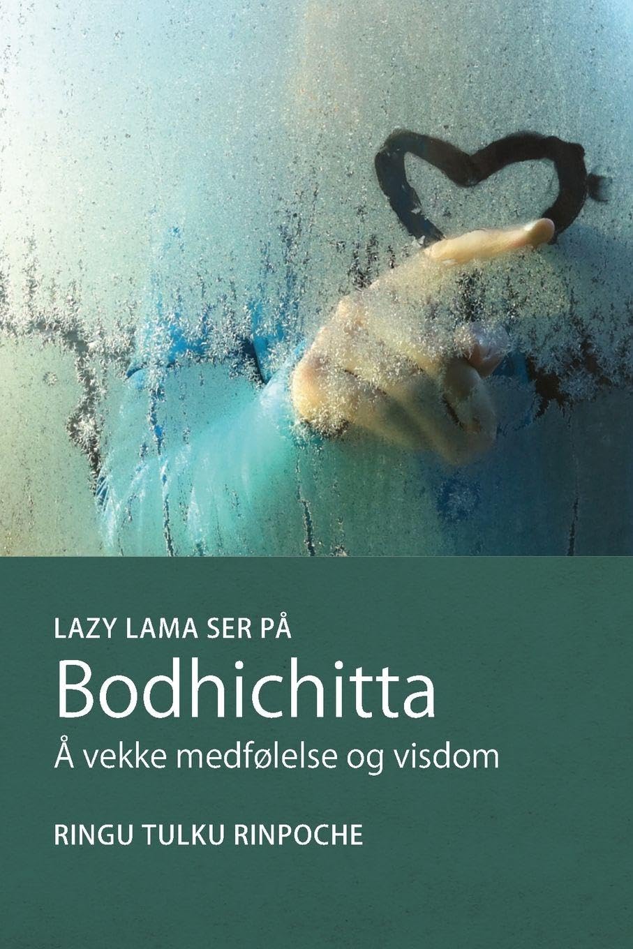 Lazy Lama ser på Bodhichitta: Å vekke medfølelse og visdom: 4 (Lazy Lama-Serien)
