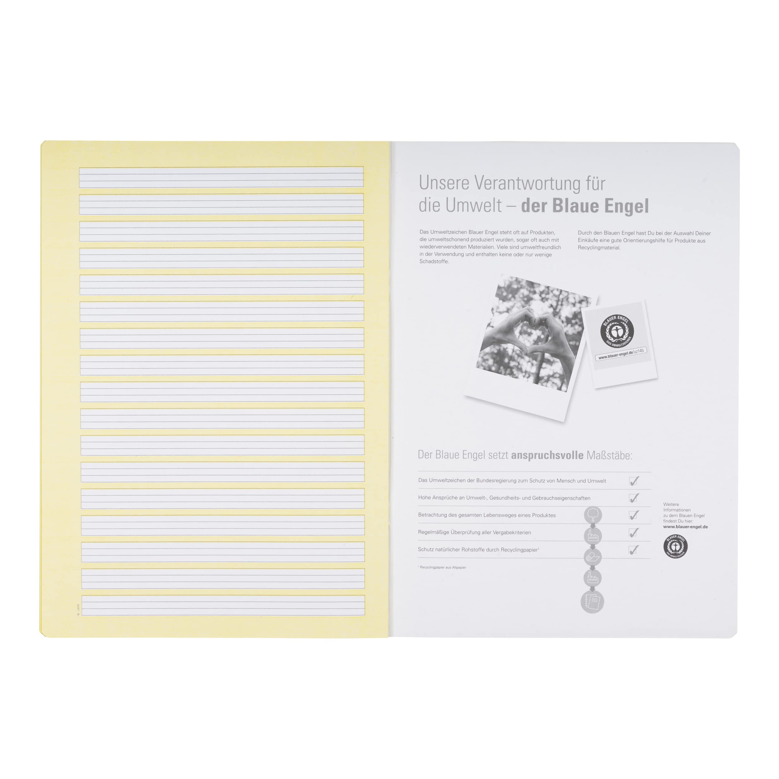 Oxford Schulheft A4 Recycling, 16 Blatt, Lineatur 2, liniert, 15 Stück
