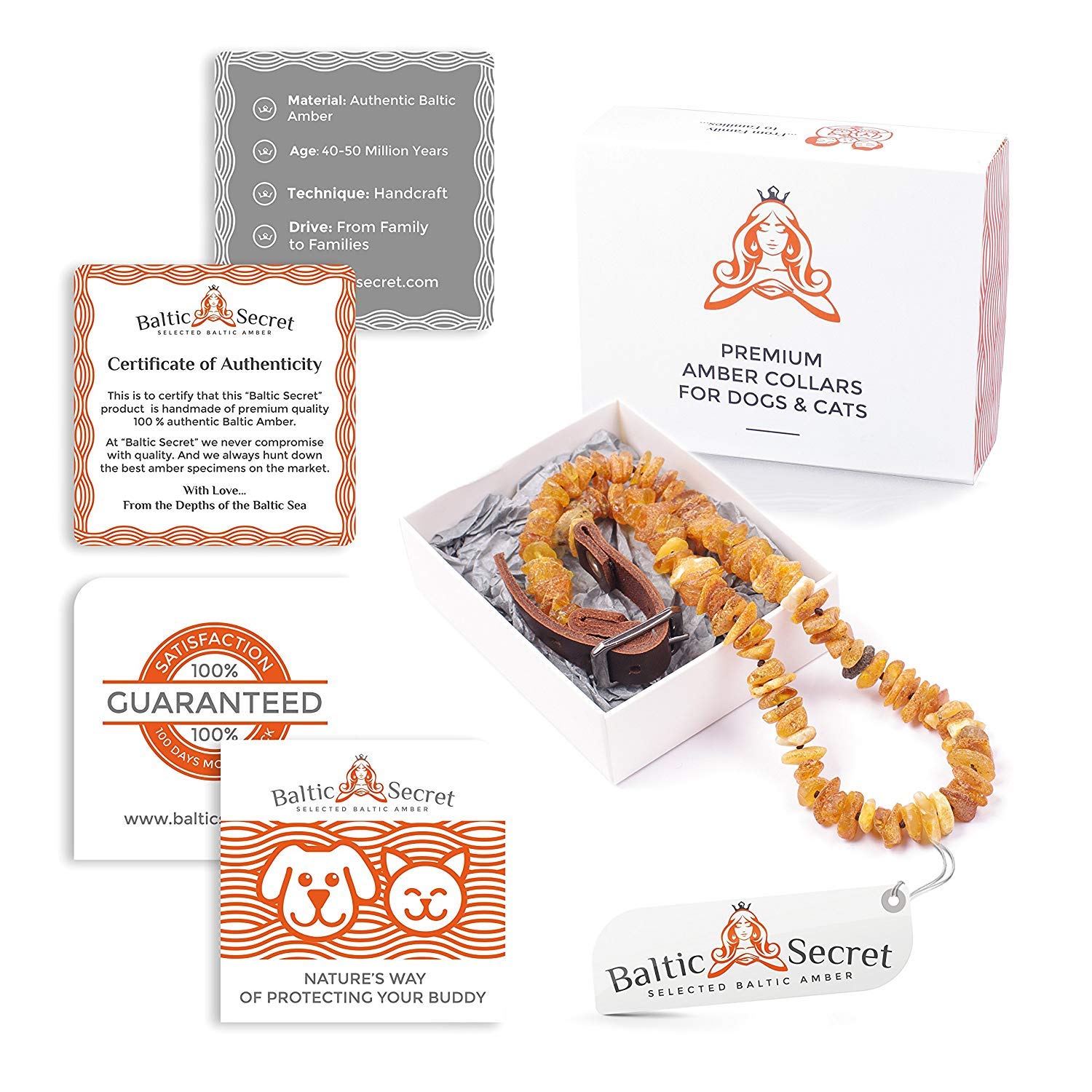 iLikeAmber. com Baltic Secret Collier pour chien & chat de Baltic Secret/en 100% ambre véritable Ambre Ambre/ la pProtection naturelle contre les tiques /chien tique Protection/chien – Collier/ la vermine Collier Chat et Chien/ Toutes les tailles