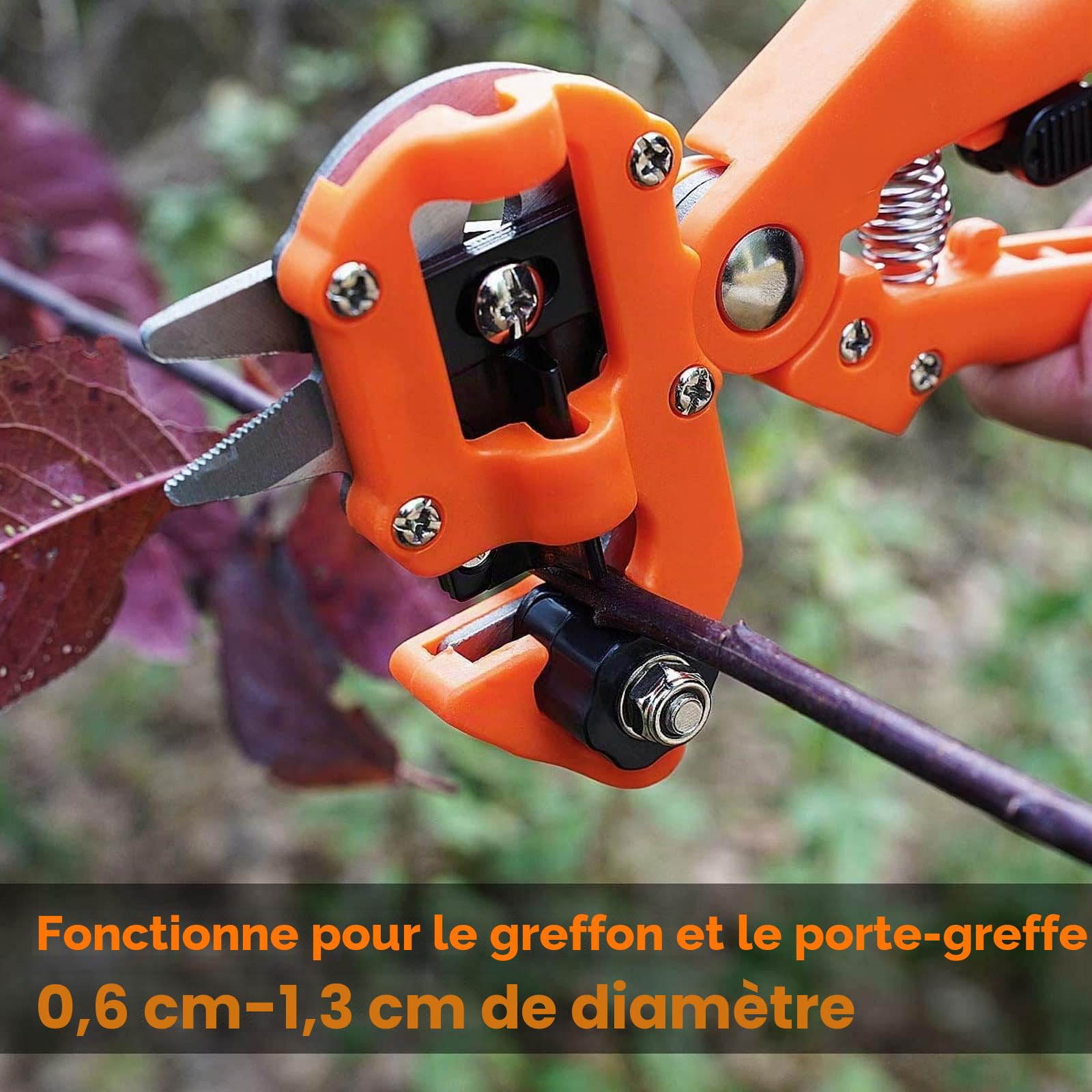 Pince à Greffer Professionnelle D'arbres Fruitiers, Parfaits pour L'élagage et Le Greffage D'arbres Fruitiers et Plantes, avec 8 Lames de Greffe Remplaçables et Rouleau de Ruban et Accessoires,Rouge