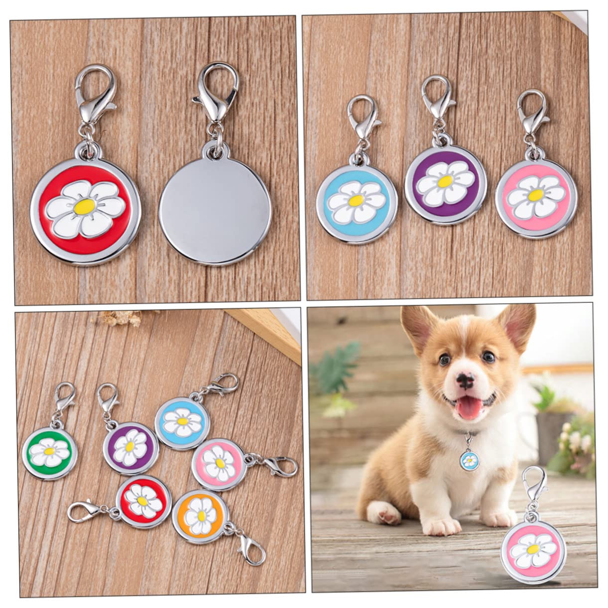 Toyvian 5 Set Targhetta Identificativa Per Animali Domestici Medagliette Personalizzabili Per Collare Accessori Decorativi Per Cane E Design E Vivaci 5 Pezzi*5