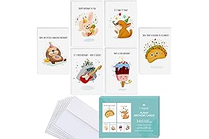T MARIE 24 Funny Birthday Cards in Bulk - Lighter Up Happy...