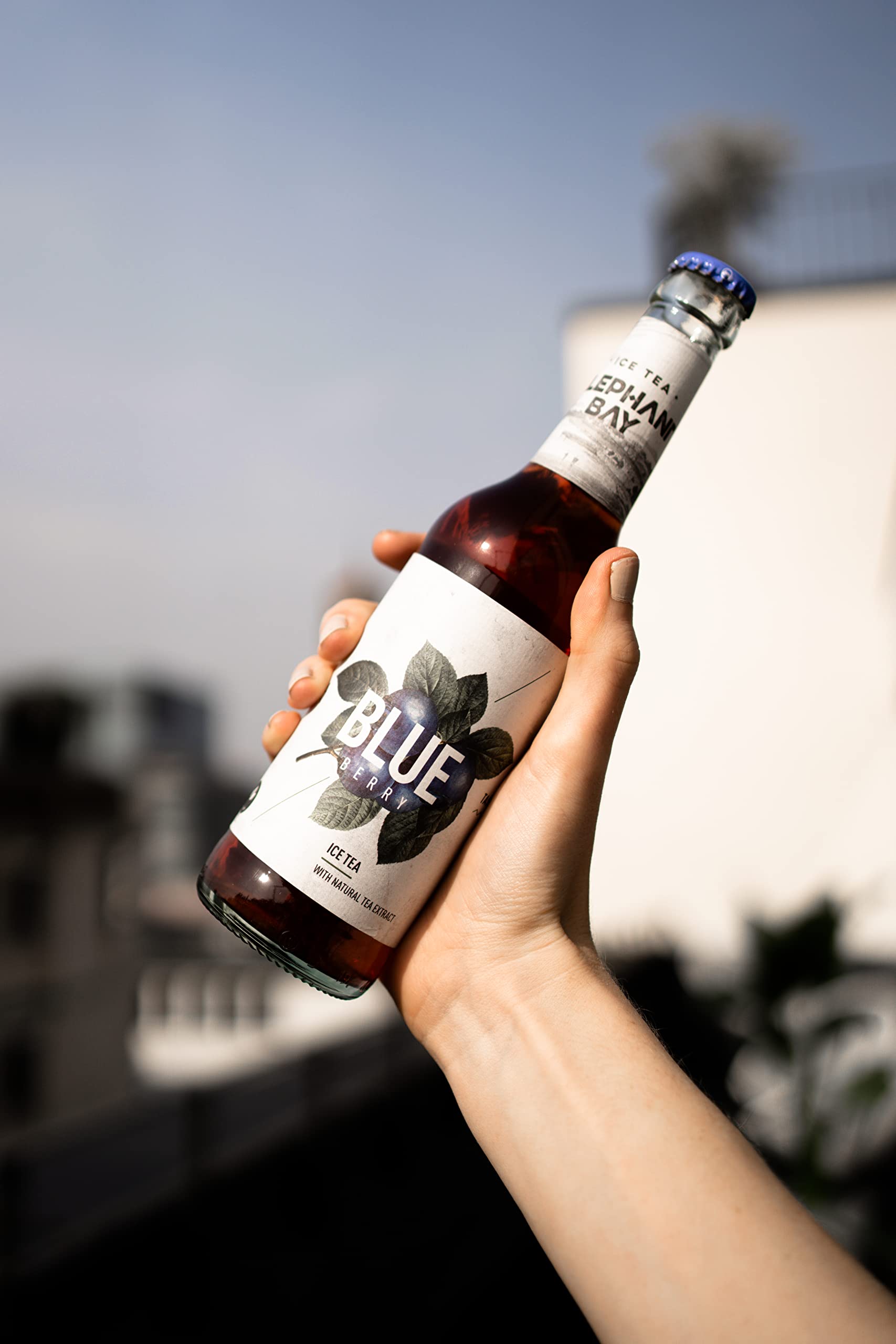 Elephant Bay ICE TEA Eistee Blueberry Set - 20x Elephant Bay Blueberry je 330ml inkl. Pfand - MEHRWEG
