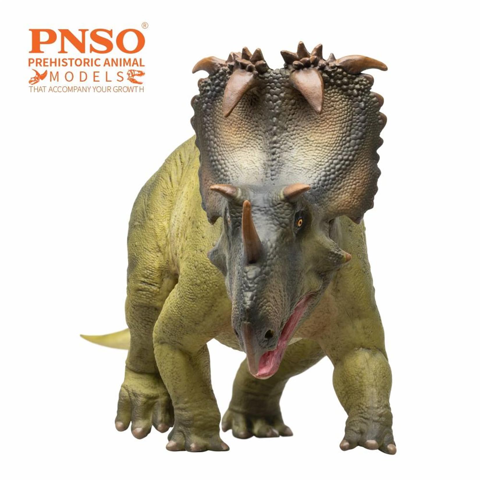 Amazon.co.jp: PNSO 成長シリーズ 89 コロノサウルス フィギュア