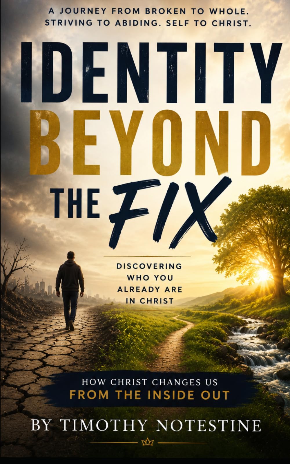 Identity Beyond the Fix: Discovering Who You are Already in Christ (Beyond Identity Series)