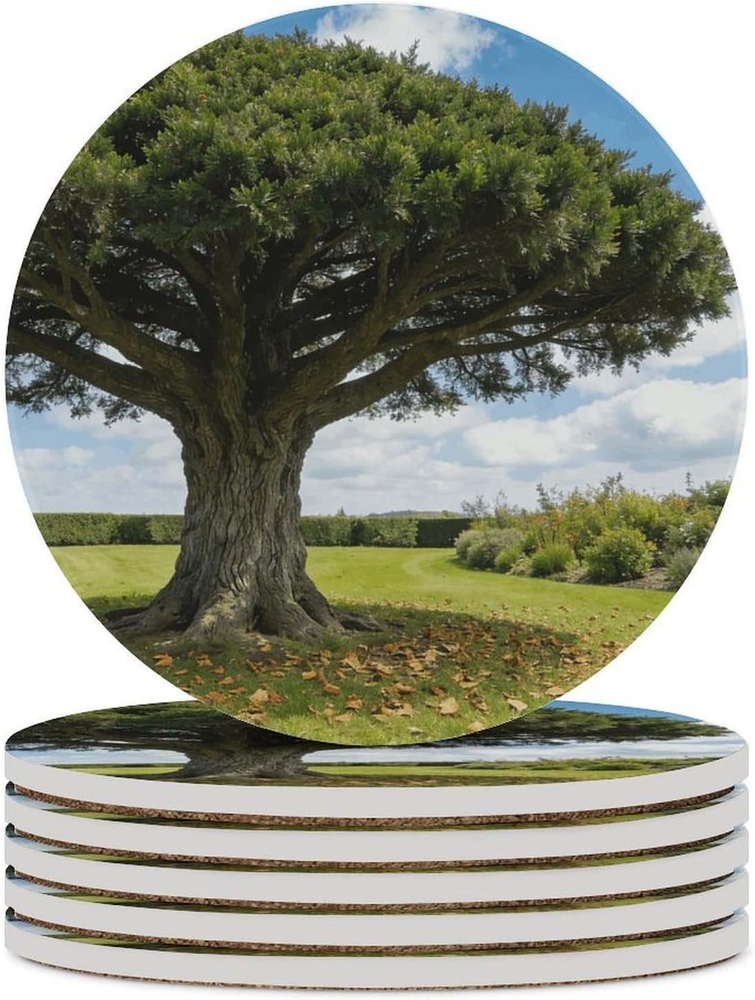 Landscape Tree Coaster with Cork Base Drink Coasters for Coffee Table Decor Modern Cup Coasters with Non-Slip & Heat-Resistant Cute Ceramic Table Coaster for Home Dining