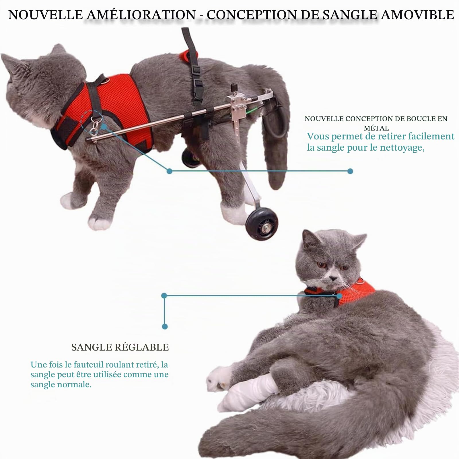 Harnais De Soutien pour Chien, Fauteuil Roulant pour Chat Lapin Handicapé Réadaptation pour Patte Arrière/Jambe Arrière, Aide À Marcher, Chariot pour Les Animaux Âgés Et Blessés,S