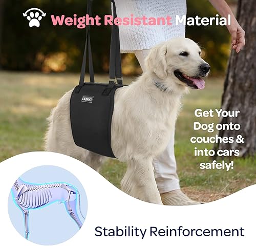 Miniatura 5 de Labra Arnés de soporte para perros K9 aprobado por veterinarios con correas ajustables, arnés de apoyo para pérdida de estabilidad causada por