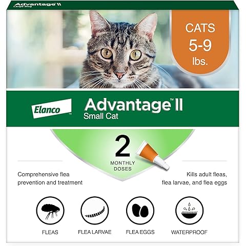 Advantage II Small Cat Vet-Recommended Flea Treatment & Prevention | Cats 5-9 lbs. | 2-Month Supply