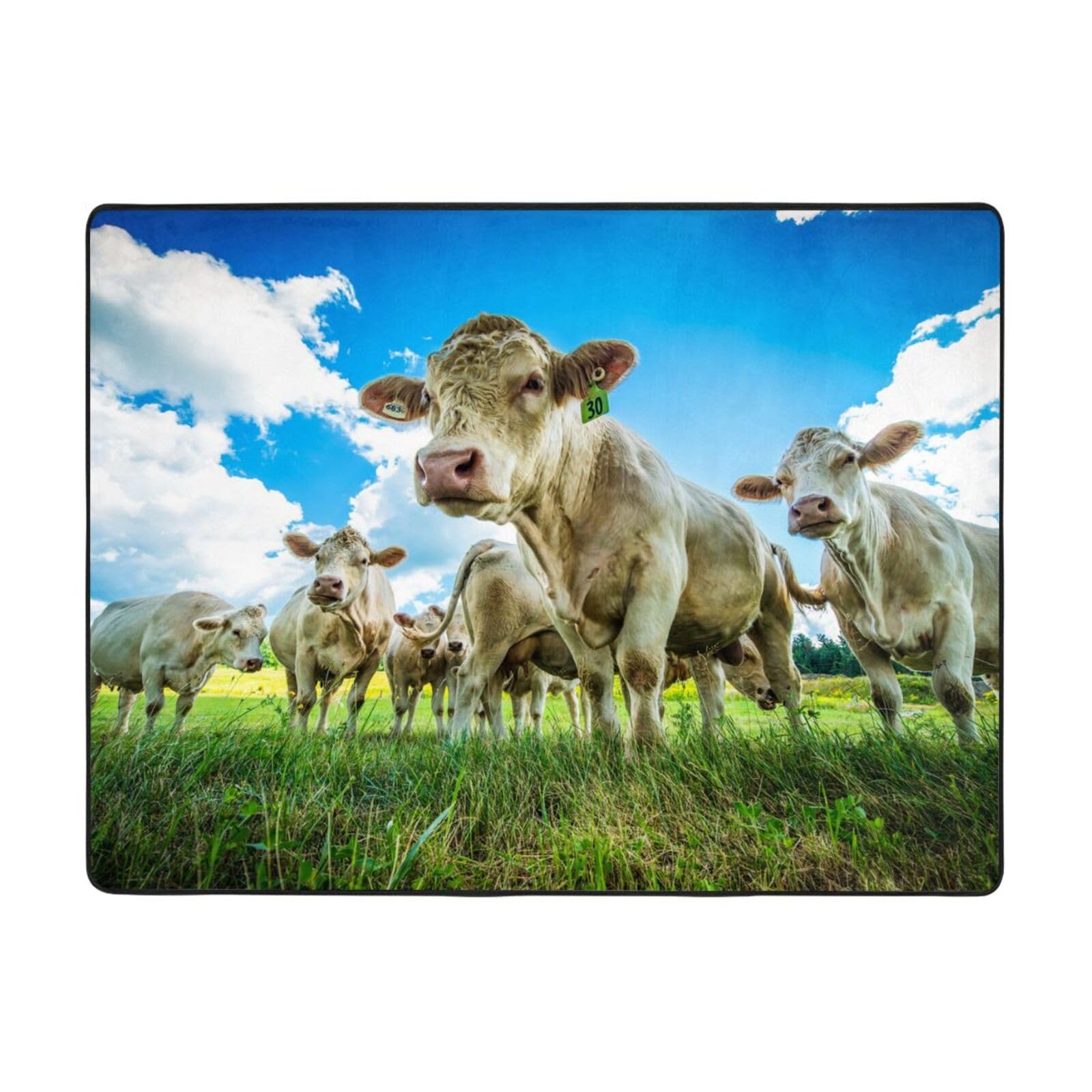 Tapis doux en flanelle motif vache sur l'herbe pour une maison chaleureuse