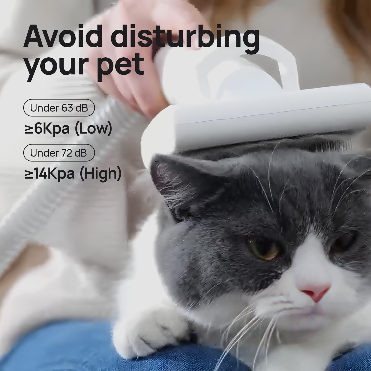 Kit per la toelettatura degli animali domestici, kit per la toelettatura di cani e gatti per una facile cura degli animali domestici a casa e all'aperto, potente aspirazione da 12000 Pa, aspirapolvere
