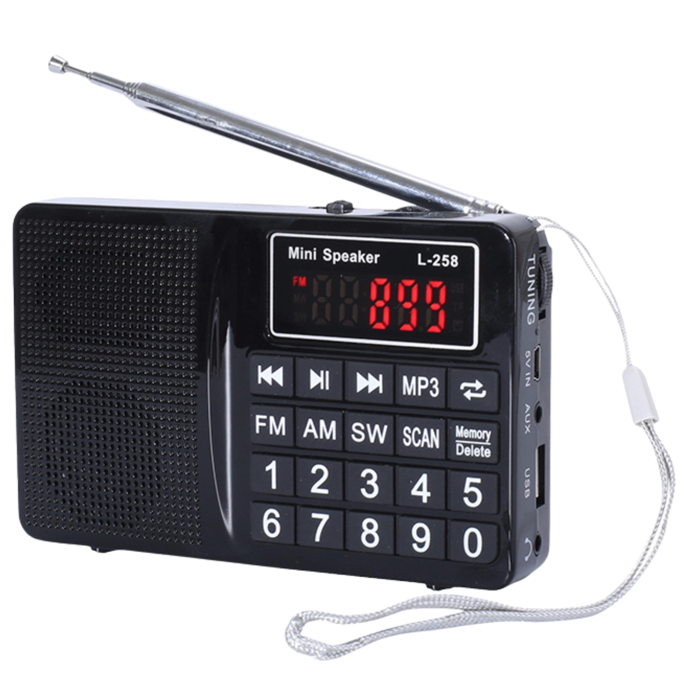 Multi-Band Plug-in Card Radio with FM, AM, SW, MP3 Player, USB Charging (Black)