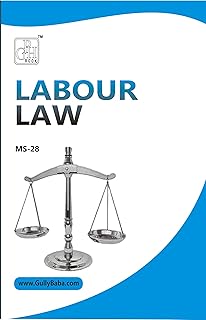 Ms-28 Labour Laws