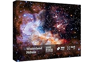 Hubble-Westerlund 2 Galaxy Puzzle: Immerse in Space's Enigma