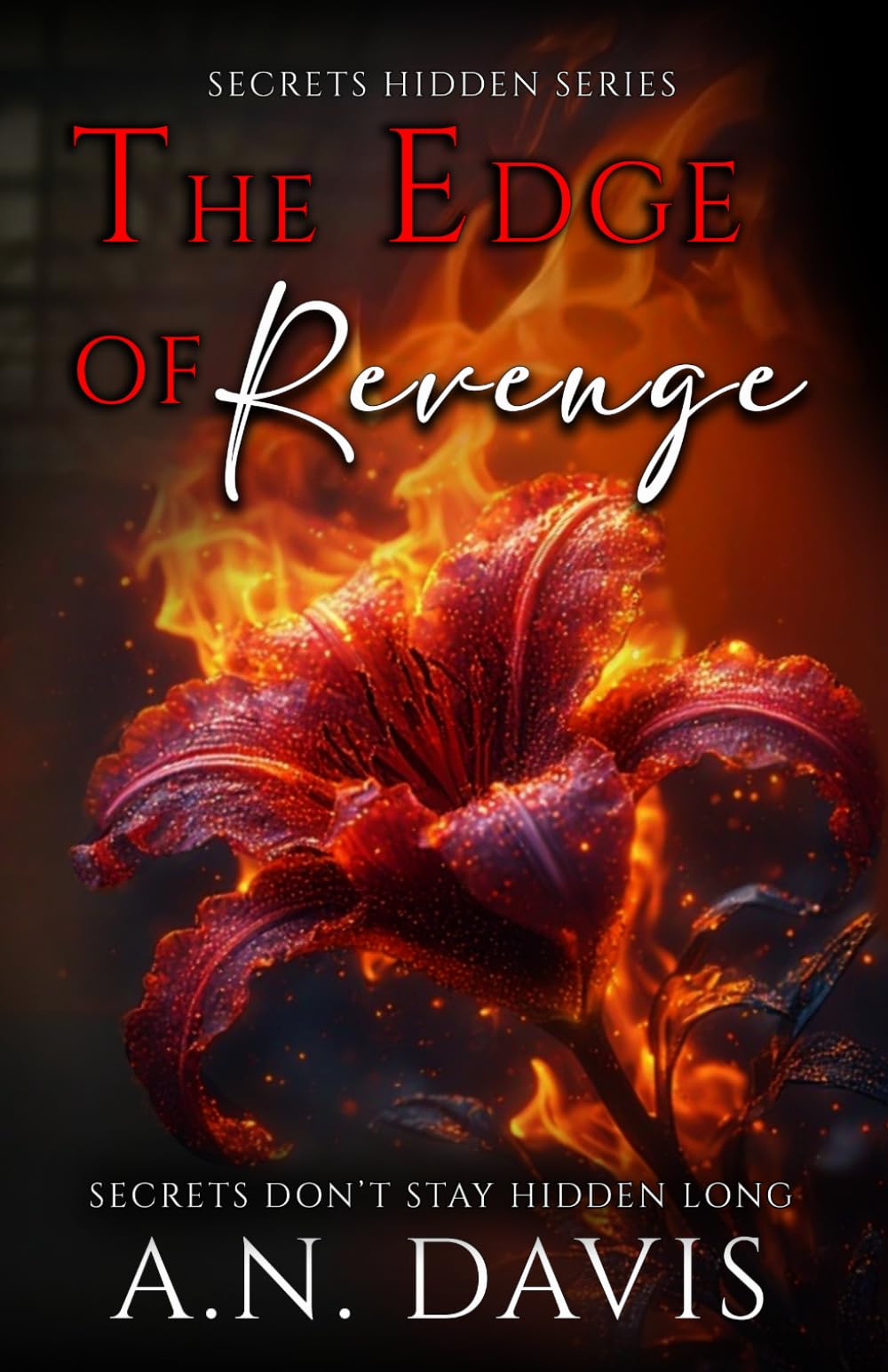 The Edge of Revenge: Secrets Hidden Series