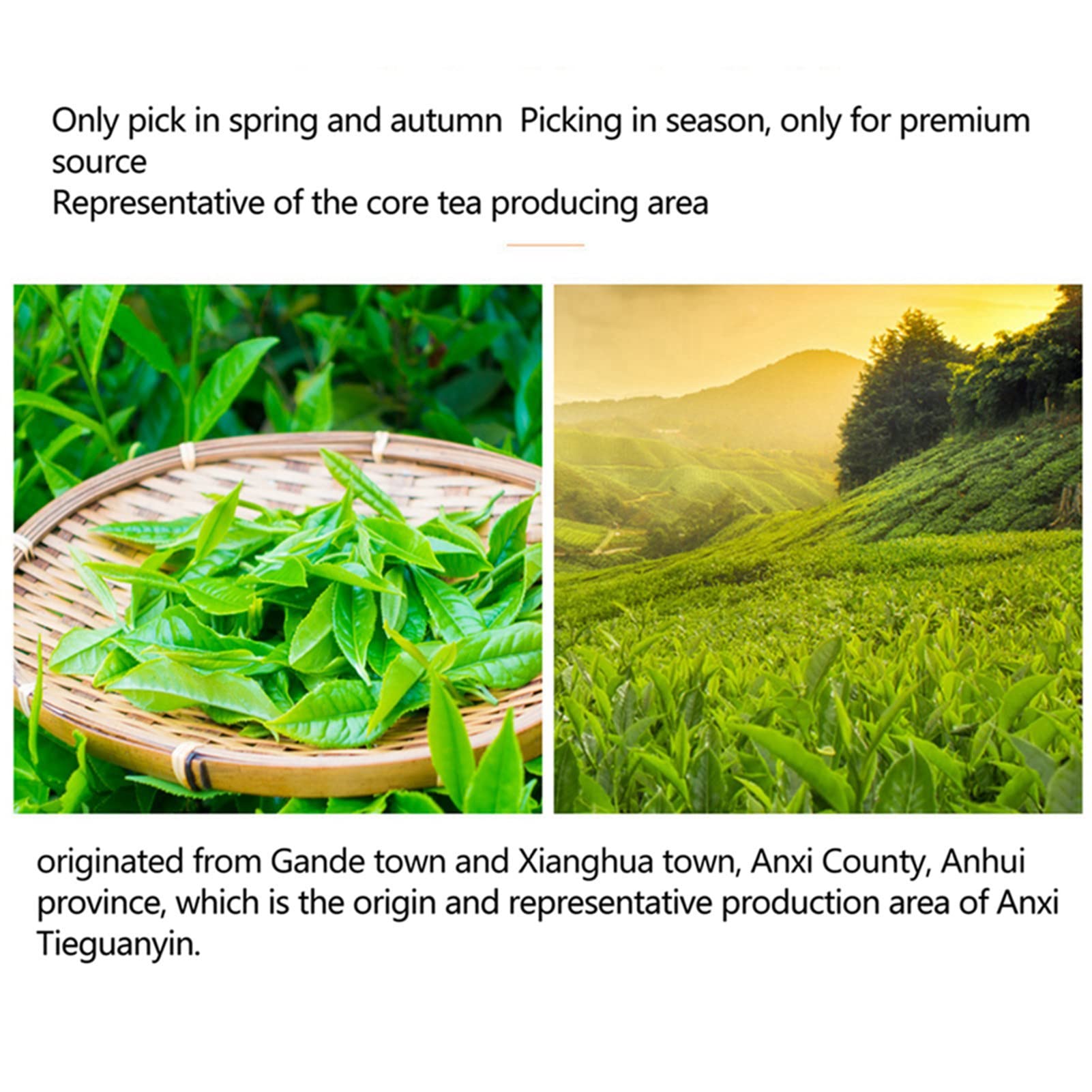 Tè Tie Guan Yin Oolong, 249g Tè Tieguanyin Cina Anxi Sapore Tè Tie Guan Yin Alta Montagna per Tea House Gathering Chinese