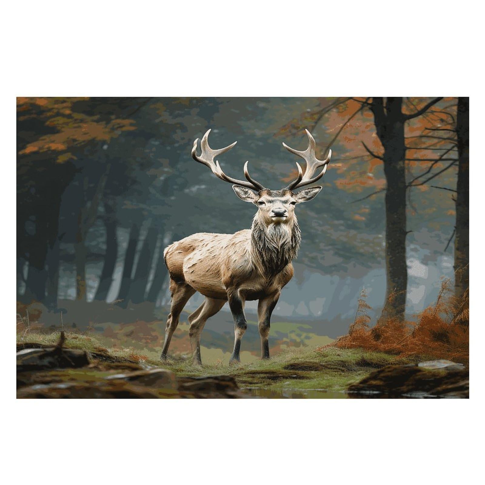 Placemats Placemats Deer Animals Placement Mats for Dining Table Place Mats Suitable for Personal Dining Tables Dinner Parties BBQ Weddings