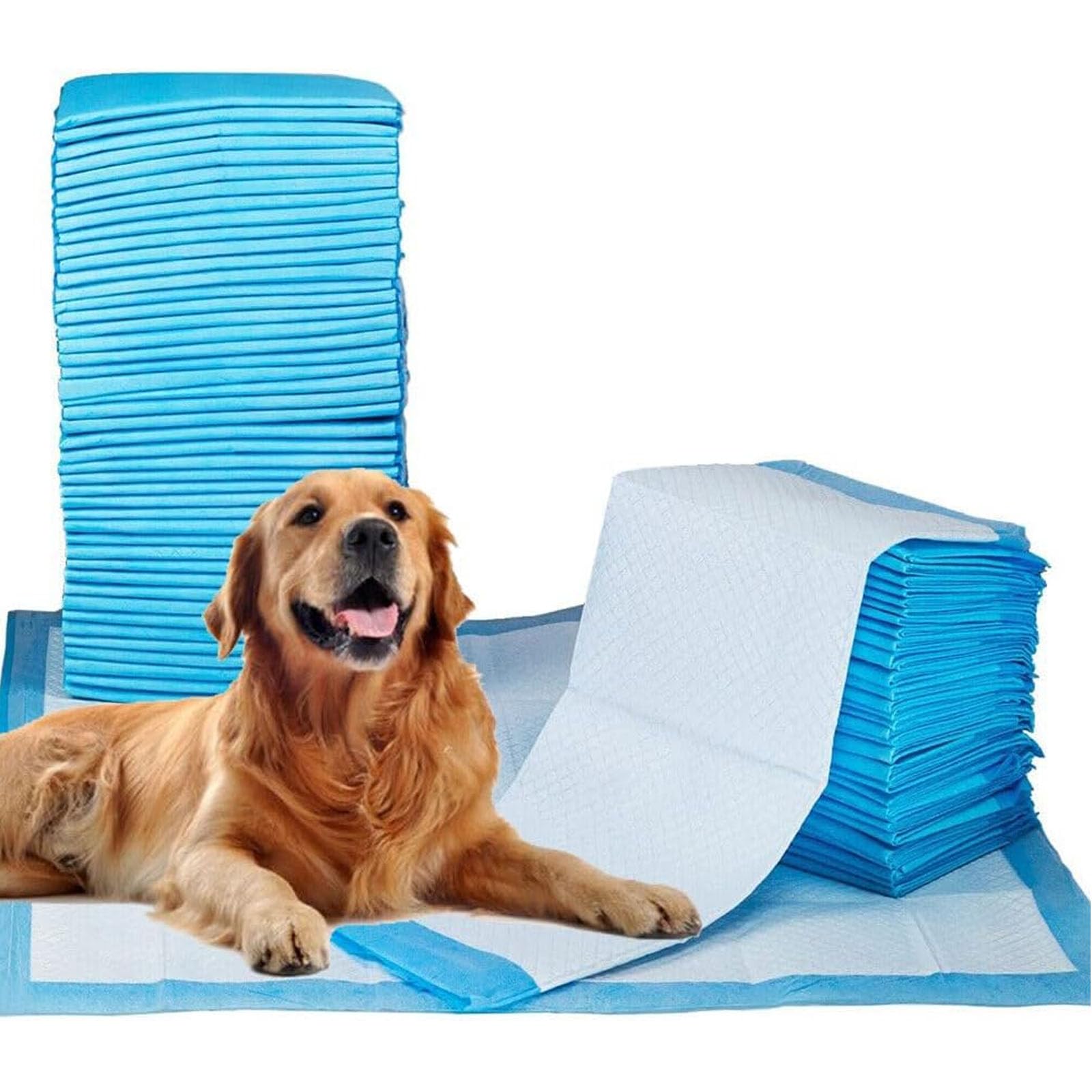 200 Stück Töpfchen-Trainingspads Für Haustiere, Welpen-Pads, Schnell Absorbierende Trainingspads, Hunde-Pads, Einweg-PIPI-Pads Für Welpen