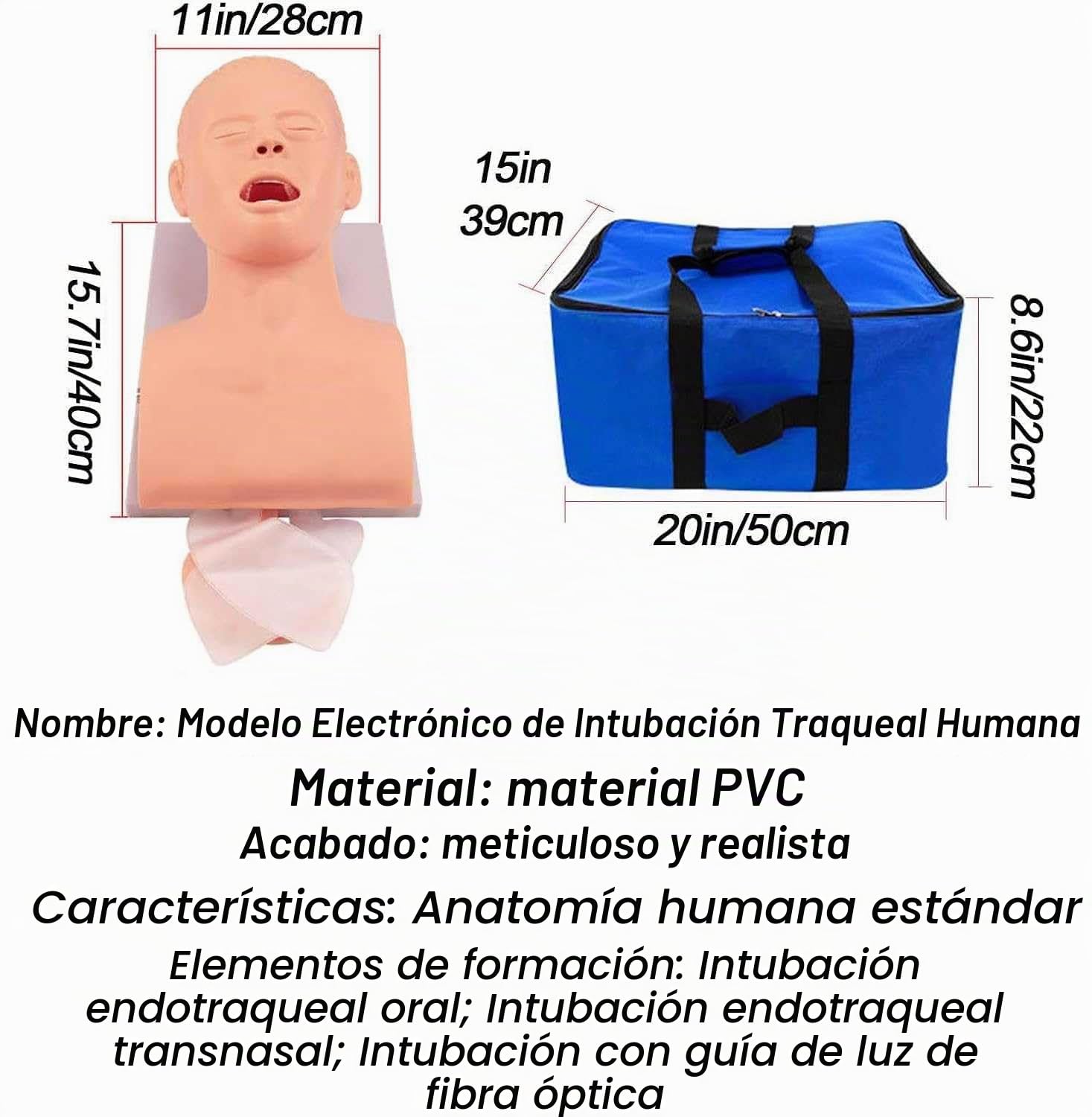 Simulador Educativo de Intubación para Adultos con Alarma Electrónica y Bolsa, Modelo Anatómico Funcional para Formación Técnica en Vía Aérea Oral y Nasal