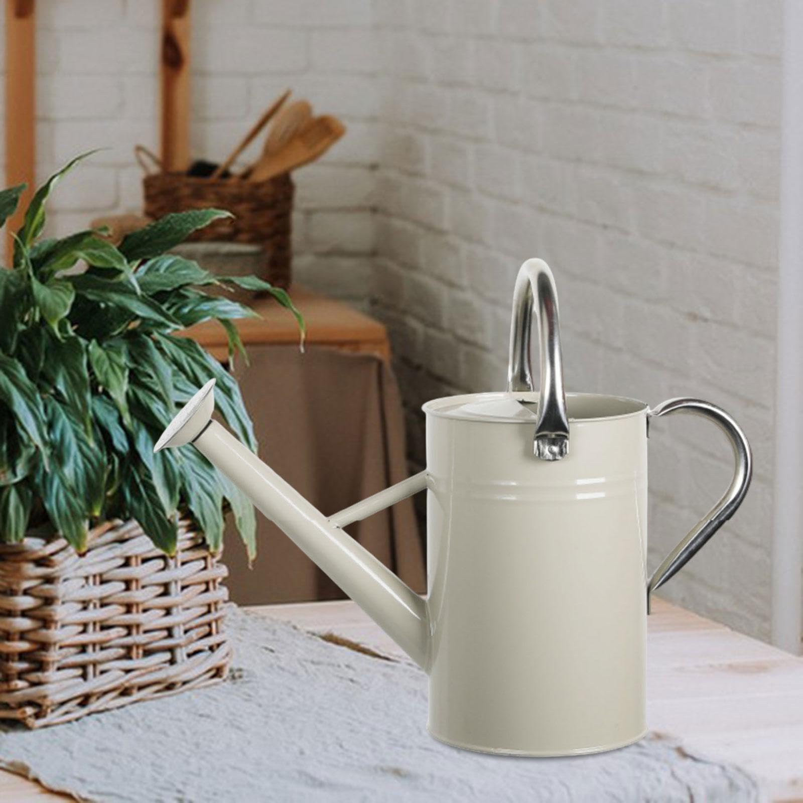 Baoblaze 5L Gießkanne für Pflanzen, Gartengießkanne mit Abnehmbarem, Pflanzengießkanne mit Großer Griff aus Edelstahl, Großem Fassungsvermögen, Feiner Sprüher, für Zimmer- und Außenpflanzen, Weiß